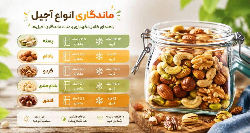ماندگاری